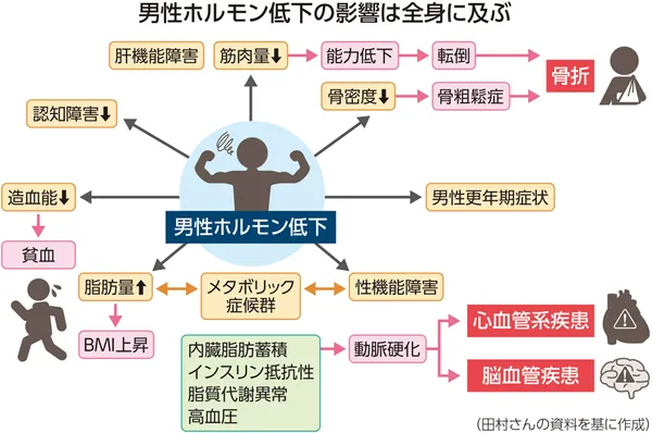 男性ホルモン低下の影響を中心に示した図で、中央に「男性ホルモン低下」と書かれた人物アイコンが配置され、その周囲に肝機能障害・筋肉量低下・能力低下・骨密度低下から転倒や骨粗鬆症・骨折へつながる流れ、認知障害の悪化、造血能低下から貧血、脂肪量増加やBMI上昇といった体組成の変化、性機能障害や男性更年期症状、内臓脂肪蓄積・インスリン抵抗性・脂質代謝異常・高血圧を含むメタボリック症候群、さらに動脈硬化を介して心血管系疾患や脳血管疾患へ波及することが矢印で示されている。図の下端に「田村さんの資料を基に作成」との注記がある。
